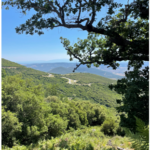 Στιγμιότυπο οθόνης 2024 08 28 135417