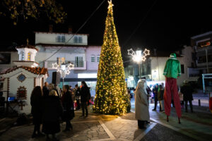 ΑφήΔέντρων 09.12.25 003