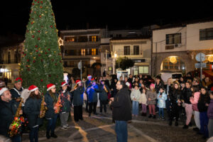 ΑφήΔέντρων 09.12.25 034