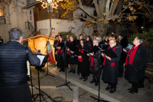 ΑφήΔέντρων 09.12.25 101 ΑφήΔέντρων 09.12.25 101