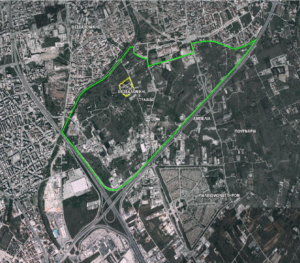 map pilea