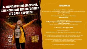 Invitation Invitation