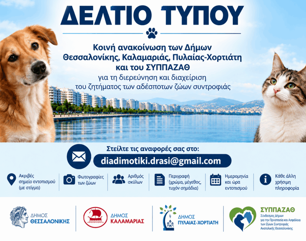 photo koino deltio tipou