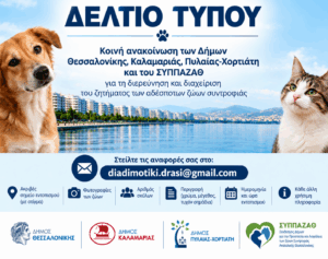 photo koino deltio tipou